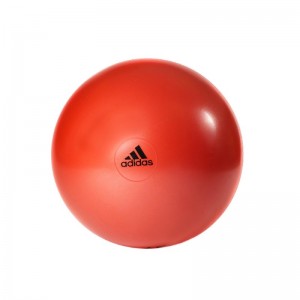Adidas 75cm Gym Ball 健身球 (pcs)
